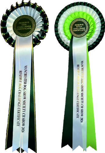 Res Challenge Certificate Rosette